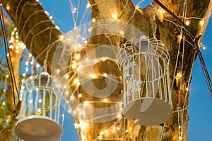 Trees covered with string lights and whilte cages for event decoration