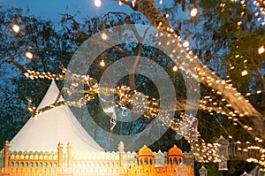 Trees covered with string lights and whilte cages for event decoration