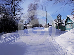 Trees covered with white snow