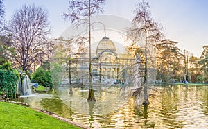 Trees on the Crystal Palace lake