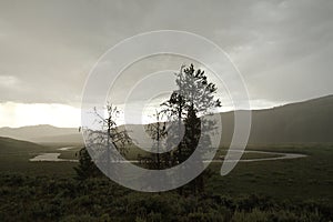 Trees by curved river