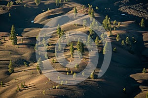 Trees Dot the Hills of Cinder in Lassen Volcanic