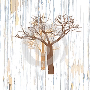 Trees drawing on wooden background