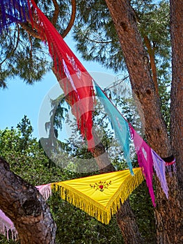 Trees dressed with colorful Manila shawls.