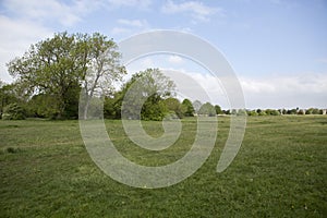 Trees on Durdham Downs, Bristol