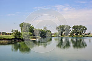 Trees by the edge of a basin and their reflections casted in the water in the italian countryside