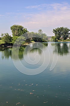 Trees by the edge of a basin and their reflections casted in the water in the italian countryside