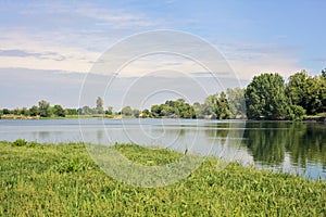 Trees by the edge of a basin and their reflections casted in the water in the italian countryside