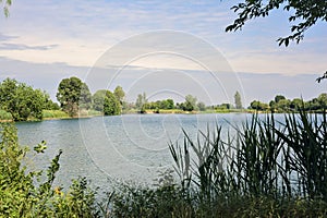 Trees by the edge of a basin and their reflections casted in the water in the italian countryside