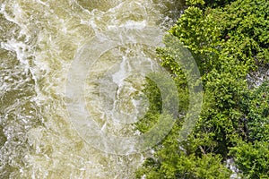 Trees at the edge of a violent water release