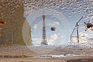 Trees and the Eiffel tower reflected in a puddle
