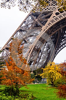 Trees and Eiffel Tower's leg