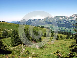 Trees and evergreen forests on the slopes of the Alviergruppe mountain range