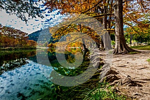 Trees with Fall Foliage Lining the Frio River at Garner State Park photo