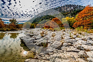 Trees with Fall Foliage on a Rocky Bank of the Frio River with Hill in Background