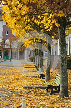 Autumn scene in town photo