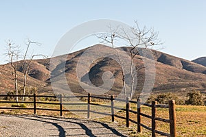 Trees with Fence and Mountains in Chula Vista, California