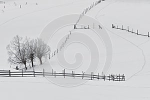 Trees and Fences in winter time in Romania