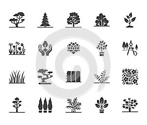 Trees flat glyph icons set. Plants, landscape design, fir tree, succulent, privacy shrub, lawn grass, flowers vector photo