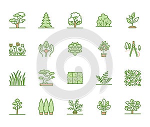 Trees flat line icons set. Plants, landscape design, fir tree, succulent, privacy shrub, lawn grass, flowers vector