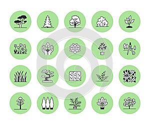 Trees flat line icons set. Plants, landscape design, fir tree, succulent, privacy shrub, lawn grass, flowers vector