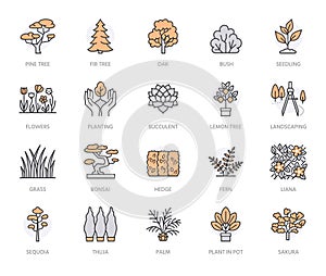 Trees flat line icons set. Plants, landscape design, fir tree, succulent, privacy shrub, lawn grass, flowers vector