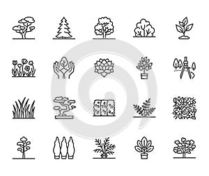 Trees flat line icons set. Plants, landscape design, fir tree, succulent, privacy shrub, lawn grass, flowers vector