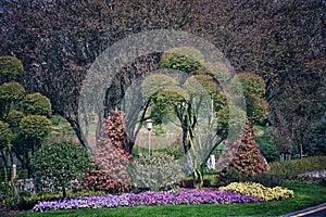 trees and flowers