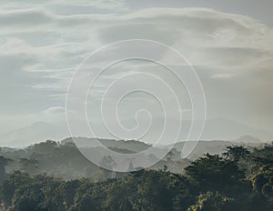 Trees in foggy mountains in Malaysia.