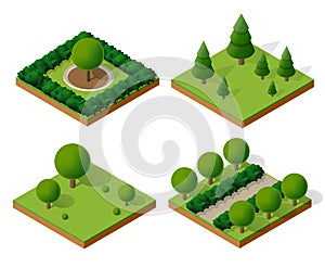 Trees forest camping