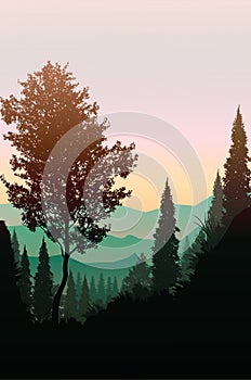 Natural forest mountains horizon trees Landscape wallpaper Sunrise and sunset Illustration vector style Colorful background photo