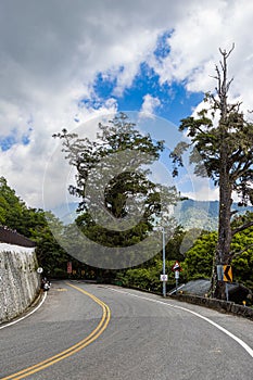 Through the trees of the forest, a picturesque view of Taiwan\'s landscape unfolds. photo