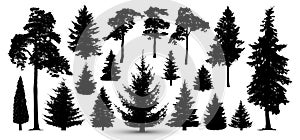 Trees forest set, vector. Silhouette of pine, spruce.