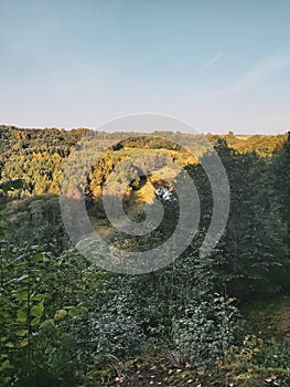 Trees, forest, upe, river, autumn