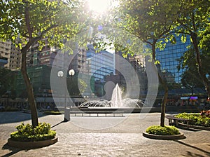 Trees and fountain in Hong Kong on sunny day