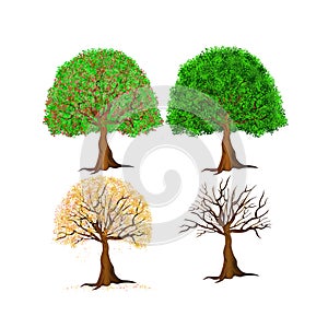 Trees four seasons