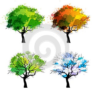 Trees of four seasons / vector