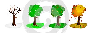 Trees in four seasons