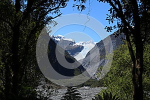 Through trees Fox Glacier, Te Moeka o Tuawe, NZ