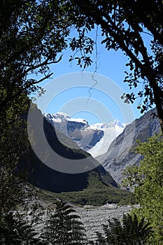 Through trees Fox Glacier, Te Moeka o Tuawe, NZ