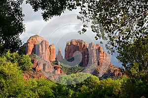 Trees framing cathedral rock vortex in sedona