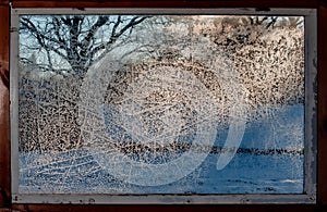 Trees through a frosted old window in winter