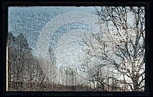 Trees through a frosted old window in winter