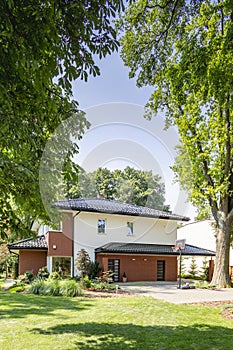 Trees in a garden of a modern house. Real photo