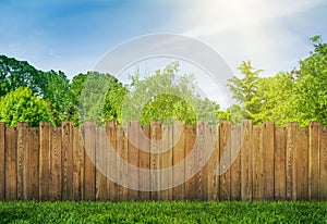 Trees in garden and wooden backyard fence