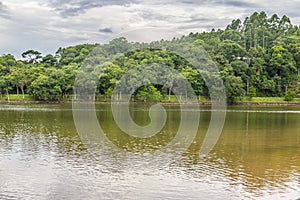 Trees in Garibaldi lake in Encantado photo