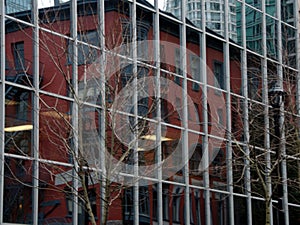 Trees, glass walls and reflections on Alberni street