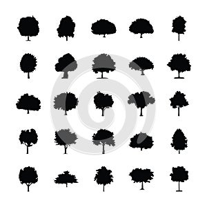 Trees Glyph Icons