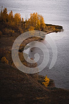 Trees in gold on the river bank