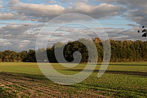 Trees and grass area under a blue sky and white clouds in geeste emsland germany